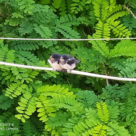 Apartment Maison Masse - Historic With Private Courtyard (adults Only) *