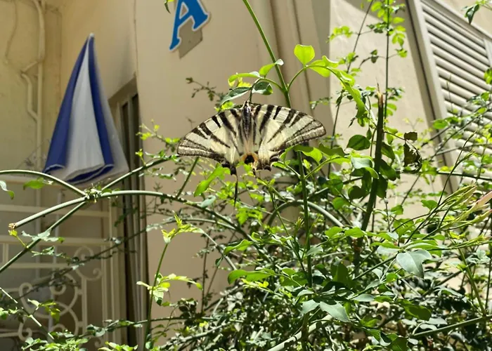 Maison Masse - Historic With Private Courtyard (adults Only) *