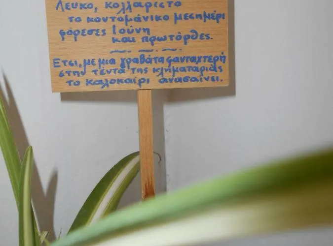 Apartment Maison Masse - Historic With Private Courtyard (adults Only) *