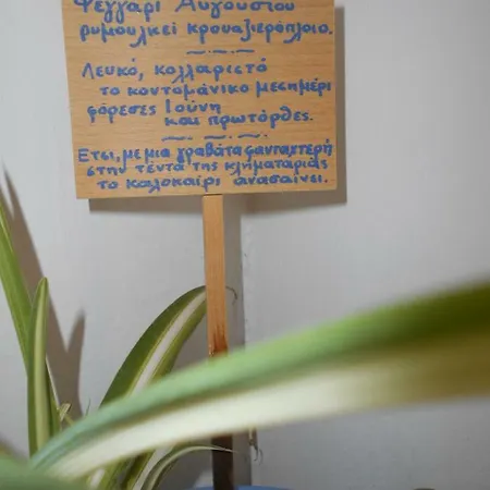Apartment Maison Masse - With Private Courtyard (adults Only) *